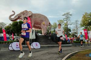 BIB: 
                            <button type="button" onclick="openModal(26529190)" class="btn btn-primary btn-sm float-right btn-popup" data-toggle="modal" data-target=".modal-high-quality">
                        <i class="fas fa-shopping-cart"></i> Add to Cart
                    </button>
                                            <button type="button" onclick="isThisMe(26529190, true)" class="btn btn-success btn-sm float-right btn-popup btn-isme hidden" data-toggle="tooltip" data-placement="bottom" title="นี่คือรูปของคุณใช่ไหม คลิกที่นี่เพื่อเอาเข้าอัลบั้ม">
                        <i class="fas fa-plus"></i> Add to album
                    </button>
                    <button type="button" onclick="isThisMe(26529190, false)" class="btn btn-warning btn-sm float-right btn-popup btn-isnotme hidden">
                        <i class="fas fa-ban"></i> Remove from album
                    </button>